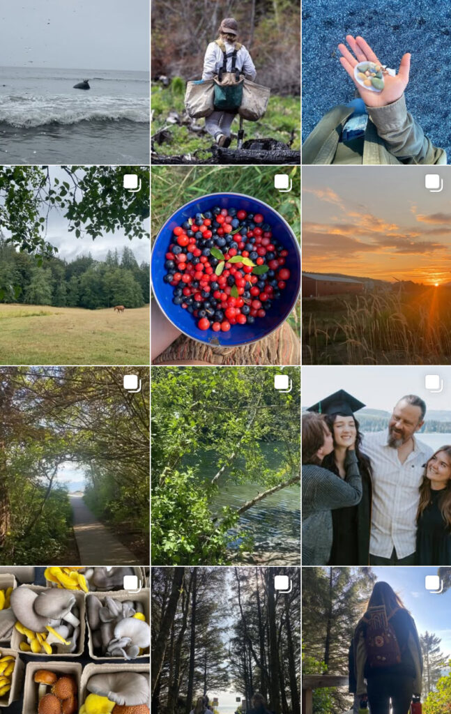 Instagram page with posts in a grid. Images include different natural landscapes, author tree planting, a collection of seashells, a bowl of wild berries, authors family, mushrooms, and friends.