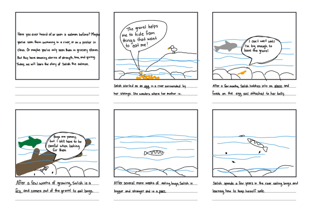 Box 1: text that says "have you ever heard of or seen a salmon before? Maybe you've seen them swimming in a river, or on a poster in class. Or maybe you've only seen them in grocery stores. But they have amazing stories of strength, love, and giving. Today, we will learn the story of Salish the salmon."

Box 2: descriptive text says "Salish started as an egg in a river surrounded by her siblings. She wonders where her mother is." Image is a side view of a river with salmon eggs buried in rocks and a small bird eating one of them on the shore. A speech bubble coming from an egg reads "the gravel helps me to hide from things that want to eat me!"

Box 3: descriptive texts says "after a few months, Salish hatches into an alevin and feeds on the egg sac attached to her belly." Image is a side view of a river with an alevin salmon in the rocks and a bigger fish swimming over top. A speech bubble from the alevin says "I can't wait until I'm big enough to leave the gravel."

Box 4:descriptive text says "after a few weeks of growing, Salish is a fry, and comes out of the gravel to eat bugs." Image is a side view of a river with a fry salmon hiding under a log eating bugs. A bigger fish swims over top. A speech bubble from the salmon fry says "bugs are yummy, but I still have to be careful when looking for them." 

Box 5: descriptive text reads "after several more weeks of eating bugs, Salish is bigger and is a parr." Image is a side view of a river with a parr salmon swimming.

Box 6: descriptive text reads "Salish spends a few years in the river eating bugs and learning how to keep safe." Image is a side view of a river with a small salmon swimming around and eating bugs. 